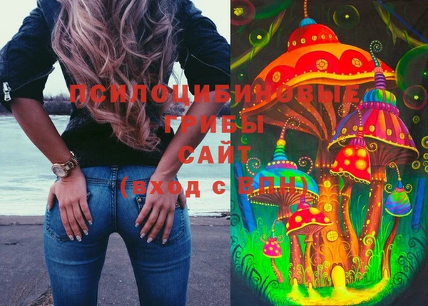 МДМА Богородицк