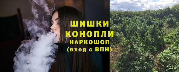 крисы Богданович