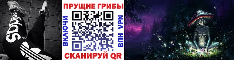 Псилоцибиновые грибы Magic Shrooms  где найти наркотики  Ейск 